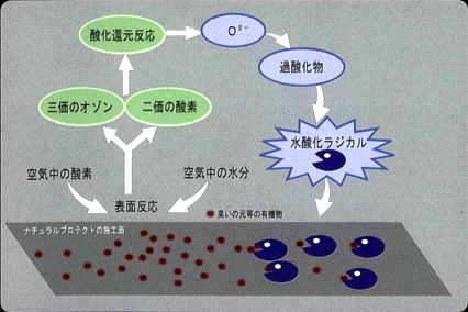 有機物分解イメージ